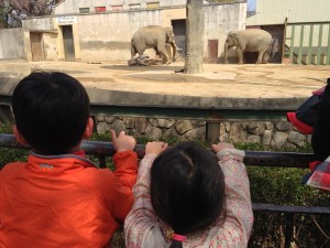 王子動物園